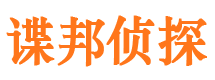 大新市婚外情调查